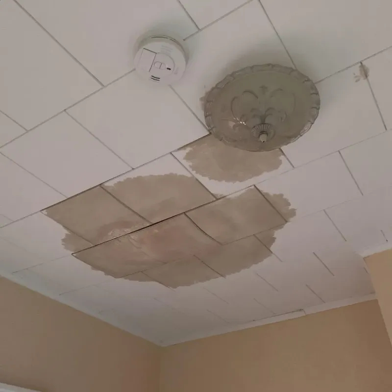 Ceiling Water Damage Repair in Columbia, MS