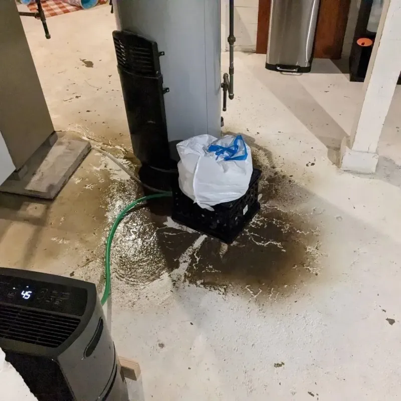 Sewage Backup Cleanup Service in Columbia, MS
